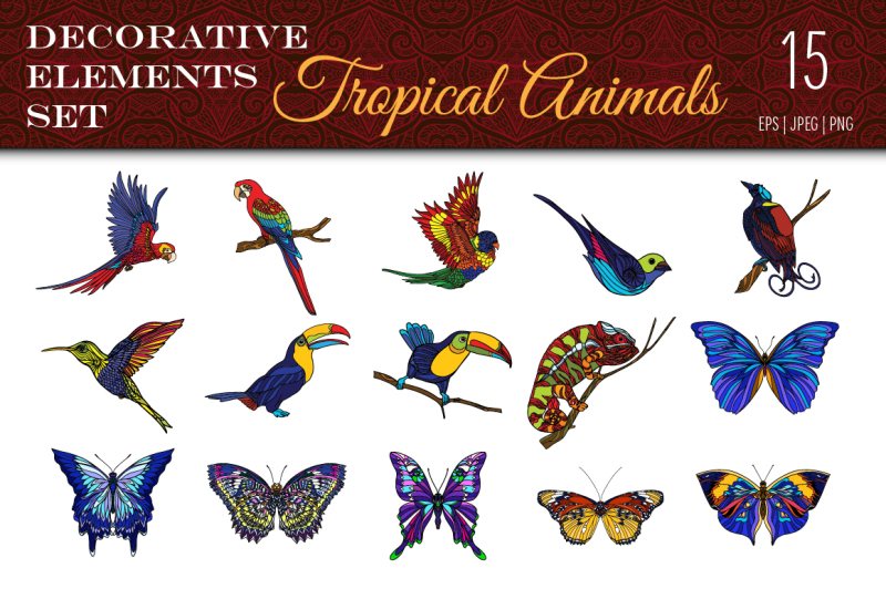 colored-tropical-animals-set