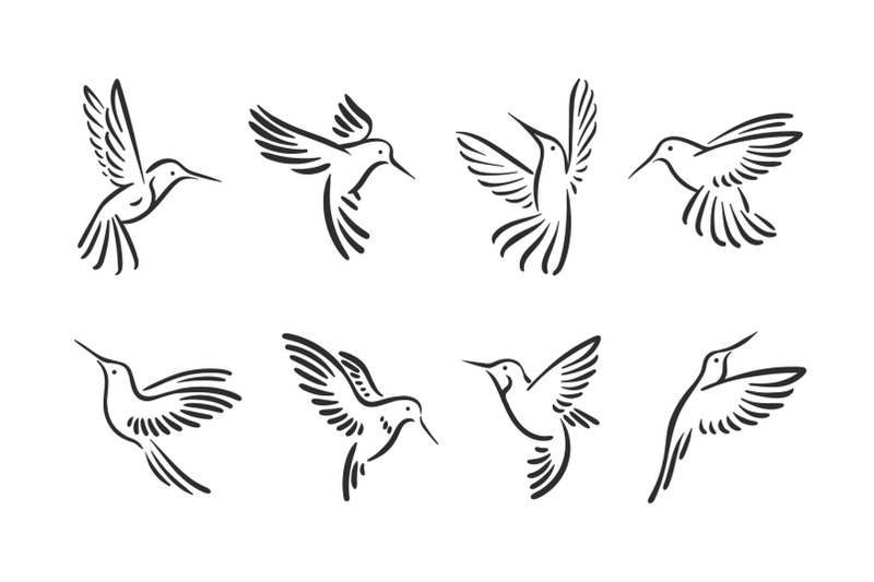 colibri-hummingbird-line-style-set