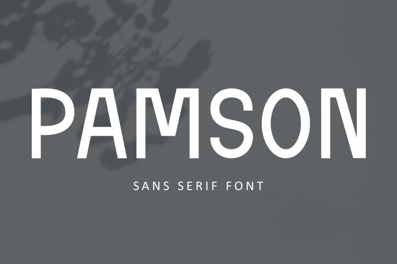 pamson-sans-serif-font