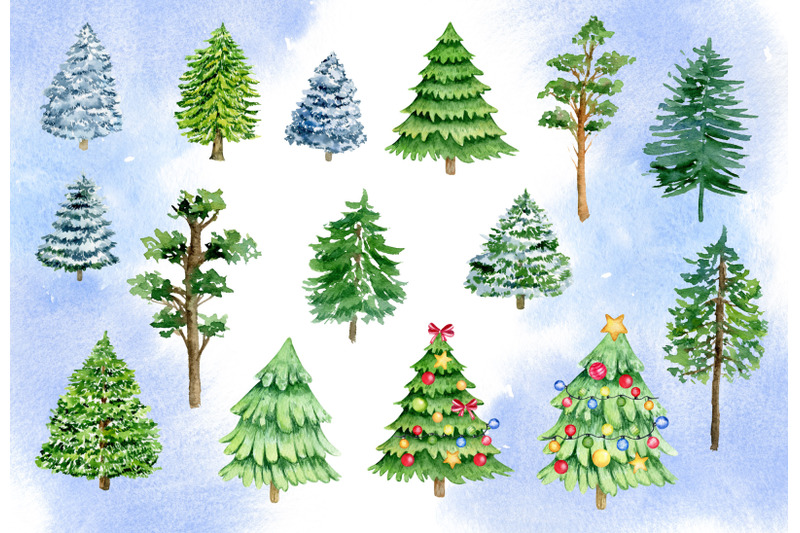 watercolor-christmas-tree-clipart-winter-forest-trees-evergreen-pine