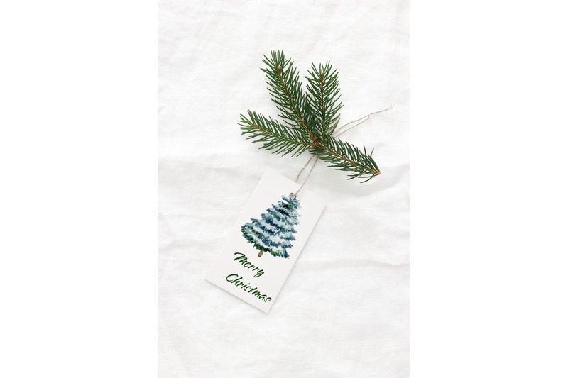 watercolor-christmas-tree-clipart-winter-forest-trees-evergreen-pine