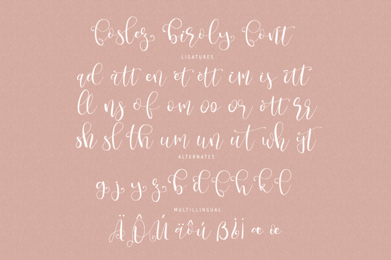 foslez-biroly-handwritten-font