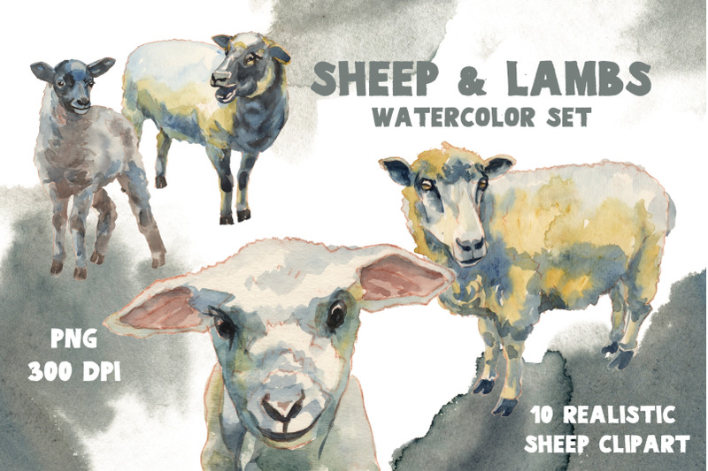sheep-amp-lambs-watercolor-set