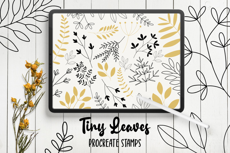 hand-drawn-leaves-procreate-stamp-brushes