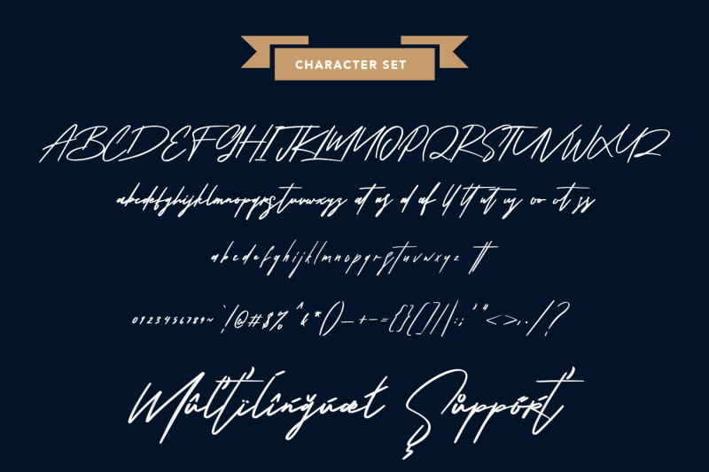 shoterns-signatshoterns-signature-brush-fonture-brush-font