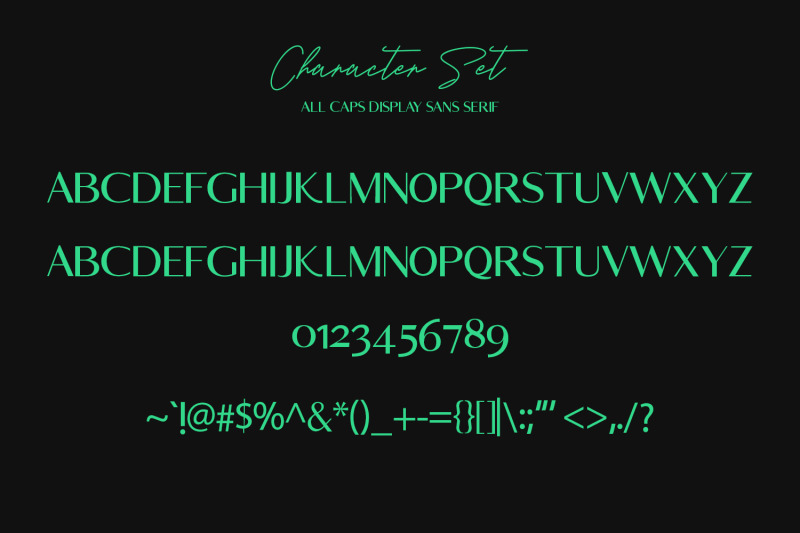 rosletta-signature-font-duo-extra-swash