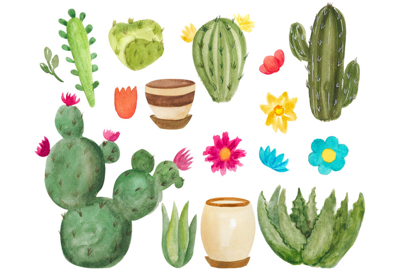 watercolor-succulent-clipart-floral-botanical-clip-art-house-plants