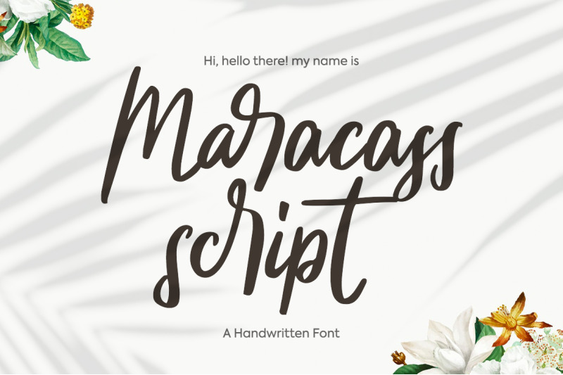 maracass-script