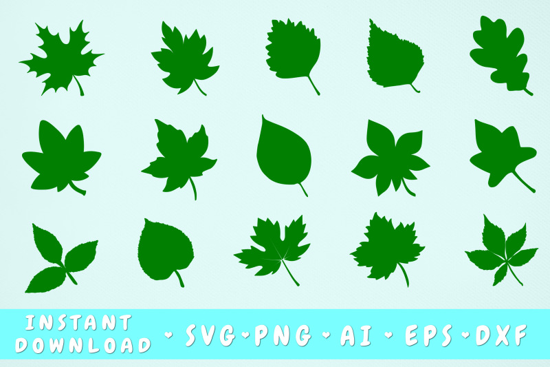 leaves-svg-bundle-15-leaves