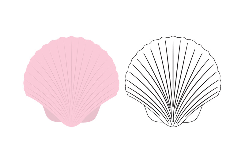 beach-clam-fill-outline-icon