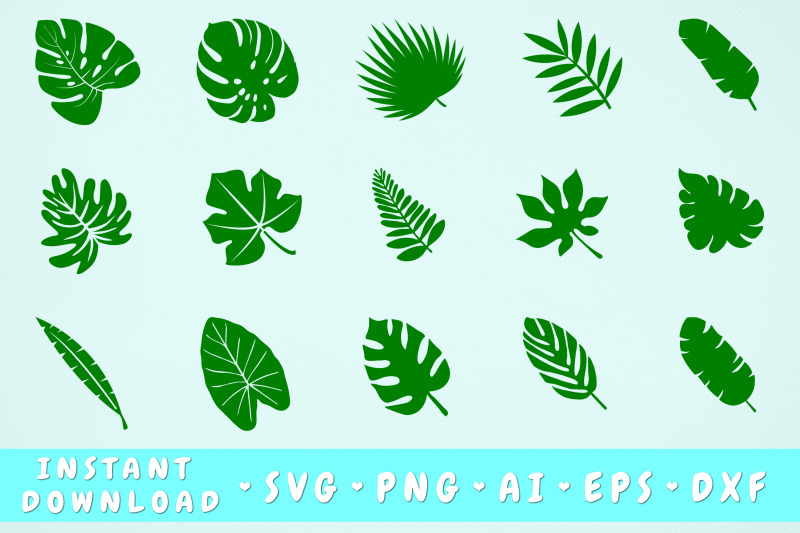 tropical-leaves-svg-bundle-15-designs