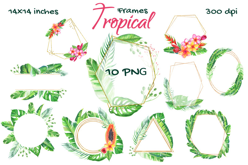 gold-tropical-watercolor-frame-png-pattern-clip-art