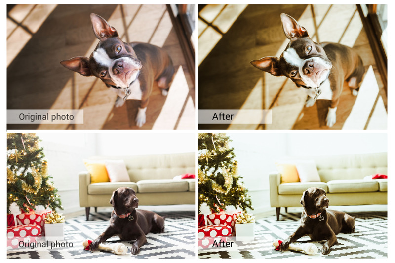 20-lovely-pets-presets-photoshop-actions-luts-vsco