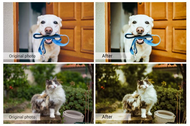 20-lovely-pets-presets-photoshop-actions-luts-vsco