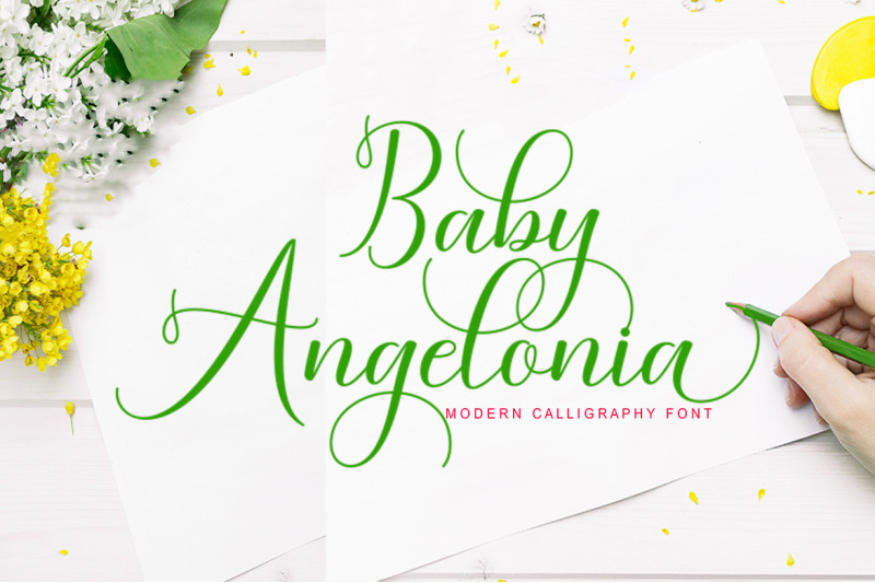 baby-angelonia