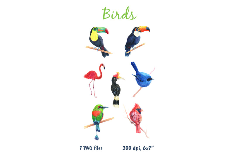 birds-watercolor-cardinal-clip-art