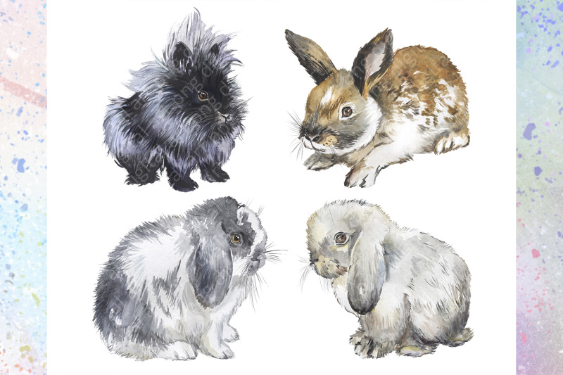 large-set-of-rabbits-watercolor-clipart-with-decorative-breeds-of-rab