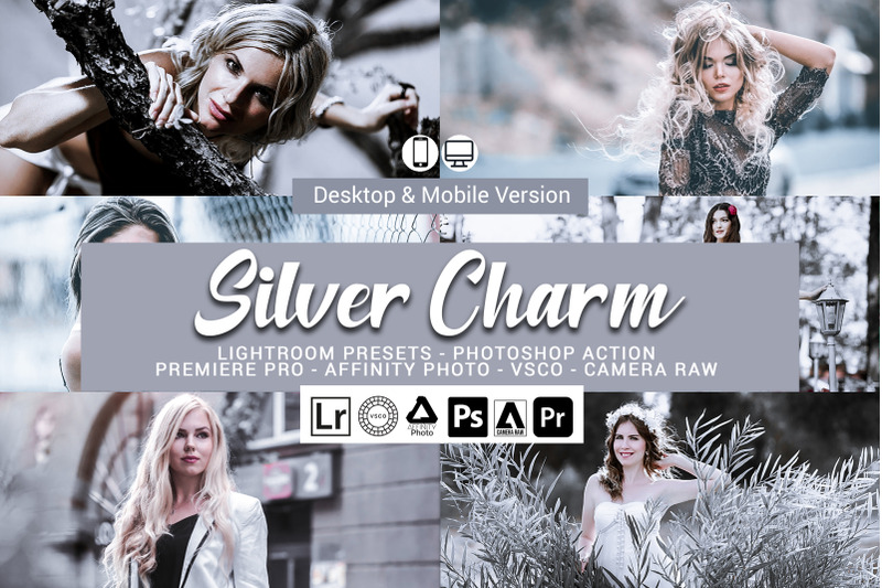 20-silver-charm-presets-photoshop-actions-luts-vsco