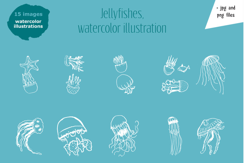 jellifishes-hand-drawn-vector-set