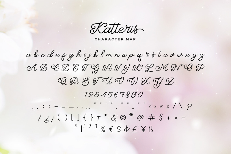 katteris-monoline-calligraphy-font