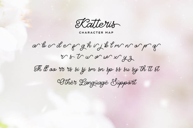 katteris-monoline-calligraphy-font