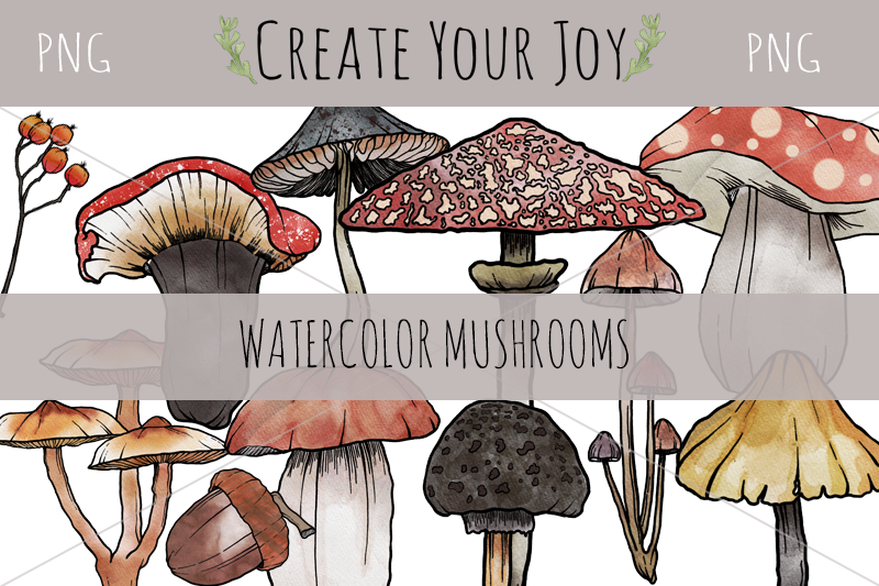 watercolor-mushroom-bundle-png