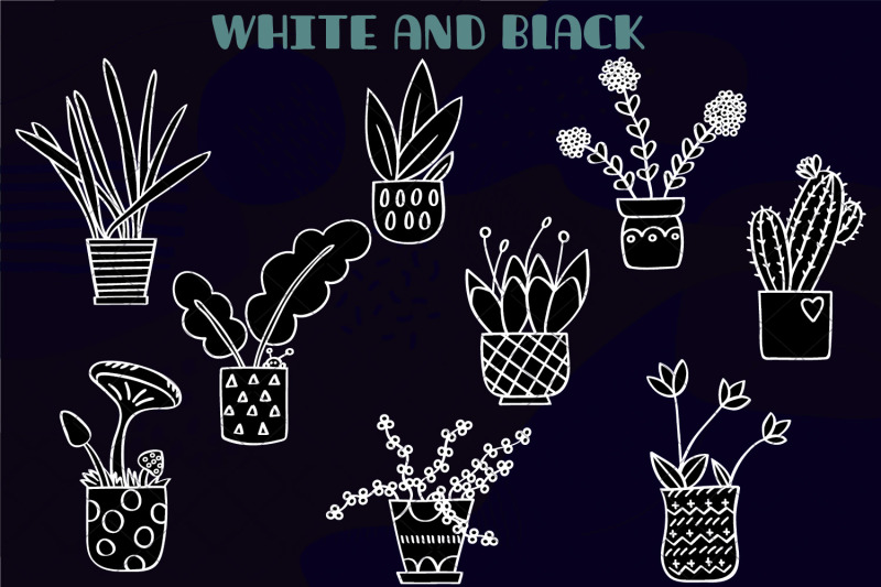 house-plants-white-hand-drawn-cactus-hanging-indoor-flower-pot