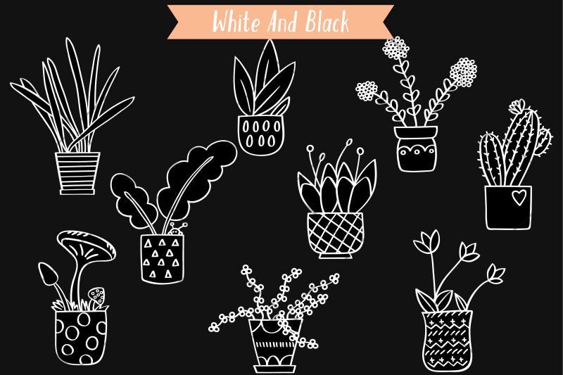 house-plants-white-hand-drawn-cactus-hanging-indoor-flower-pot