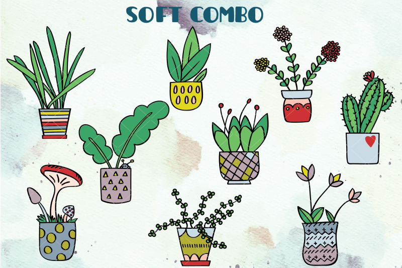 house-plants-color-hand-drawn-cactus-hanging-indoor-flower-pot