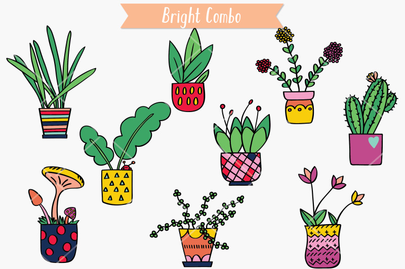 house-plants-color-hand-drawn-cactus-hanging-indoor-flower-pot