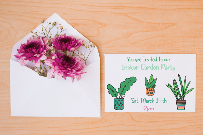house-plants-color-hand-drawn-cactus-hanging-indoor-flower-pot