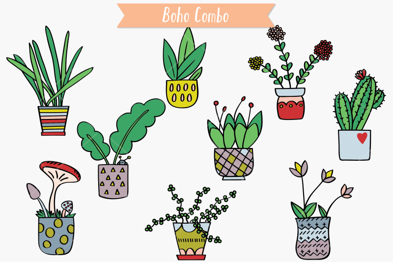 house-plants-color-hand-drawn-cactus-hanging-indoor-flower-pot