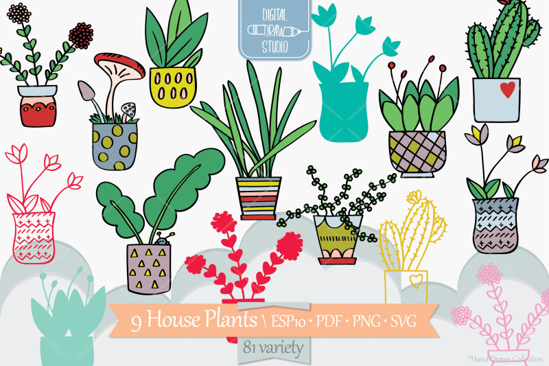 house-plants-color-hand-drawn-cactus-hanging-indoor-flower-pot