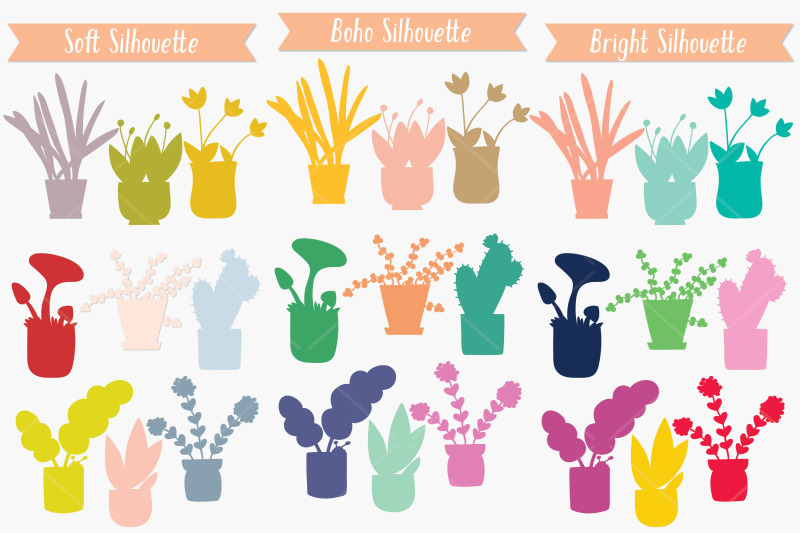 house-plants-color-hand-drawn-cactus-hanging-indoor-flower-pot