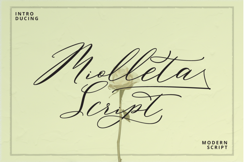 miolleta-script