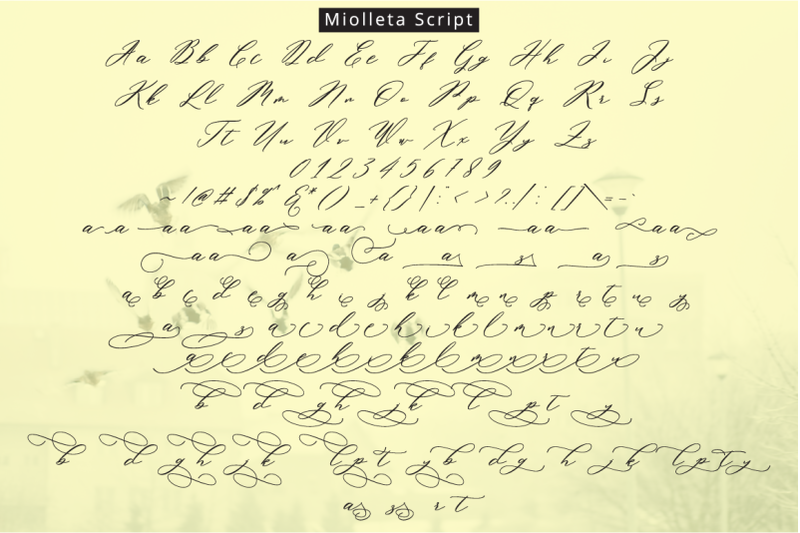 miolleta-script