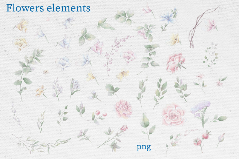 watercolor-flowers-roses-clipart-big-set-elements-for-invitations