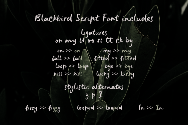 blackbird-crayon-script-svg-font