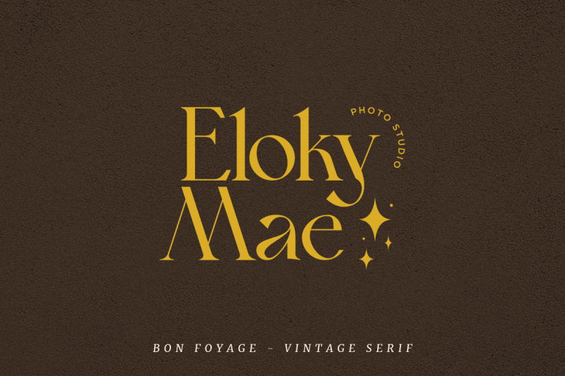 bon-foyage-vintage-modern-serif