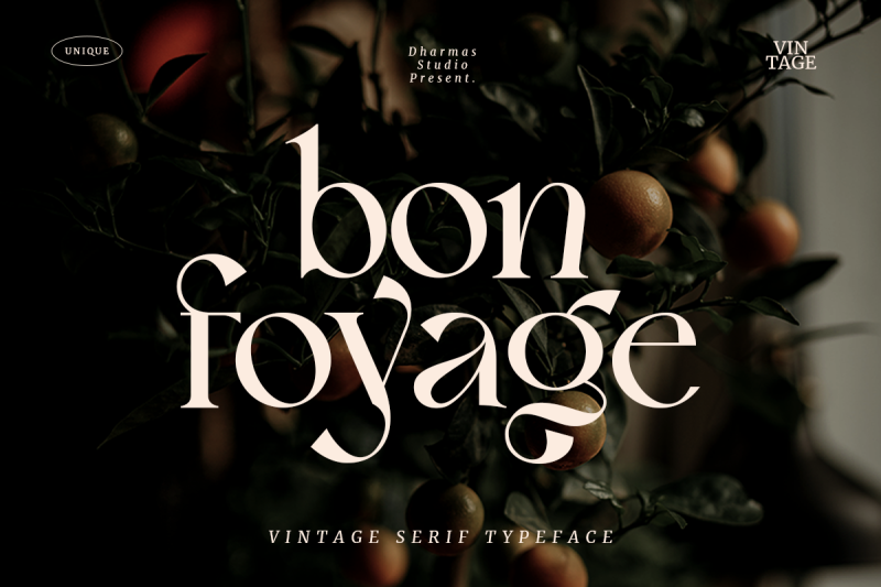 bon-foyage-vintage-modern-serif