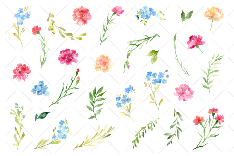 watercolor-carnations-amp-forget-me-not-flowers
