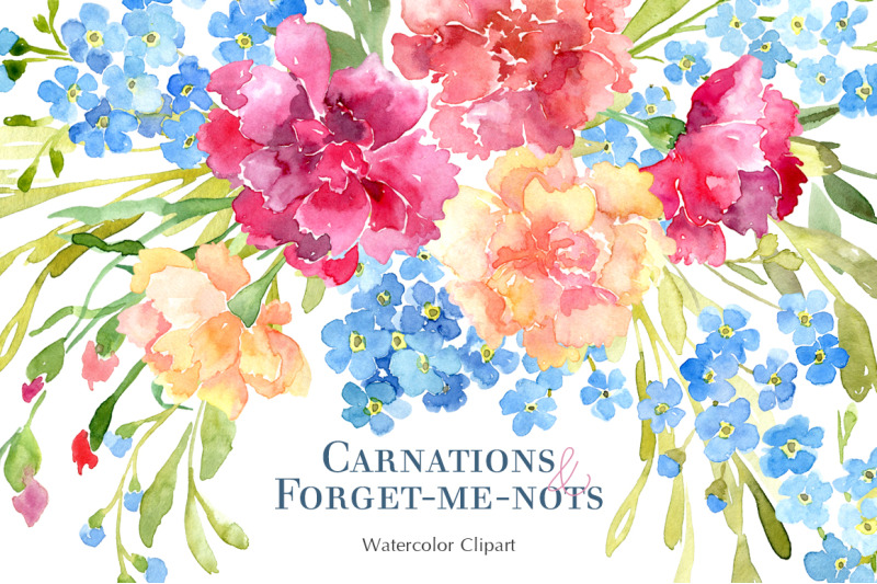 watercolor-carnations-amp-forget-me-not-flowers