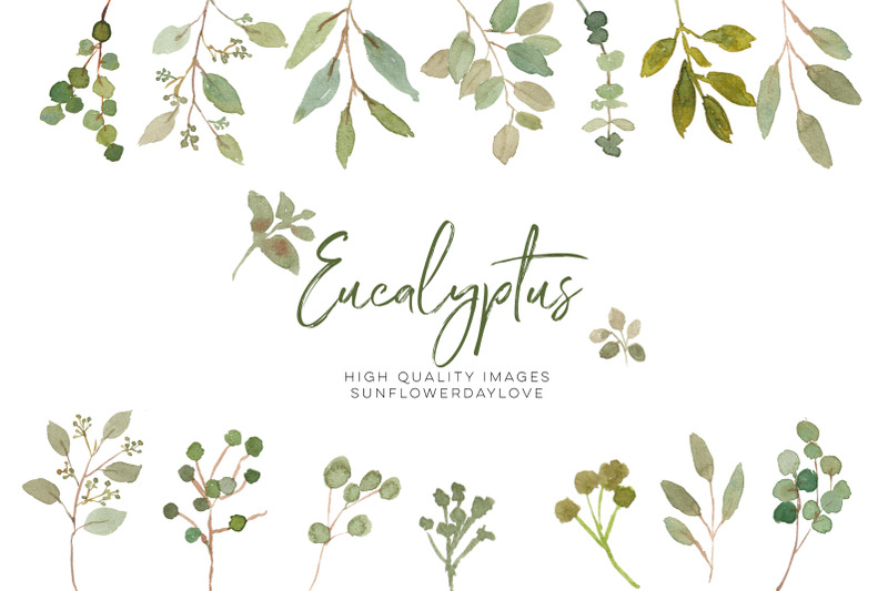 eucalyptus-greenery-clipart-floral-arrangements