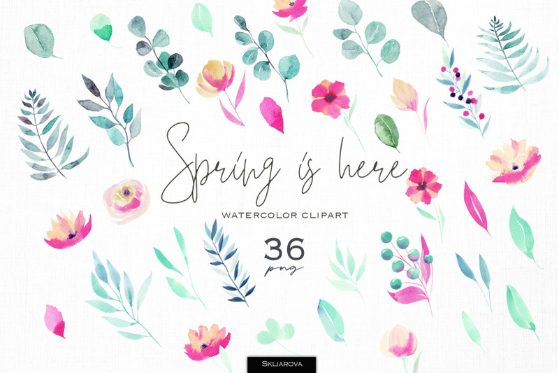 spring-is-here-floral-elements-set