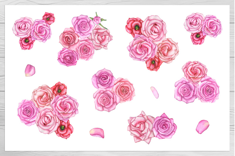 watercolor-set-of-hand-drawn-roses