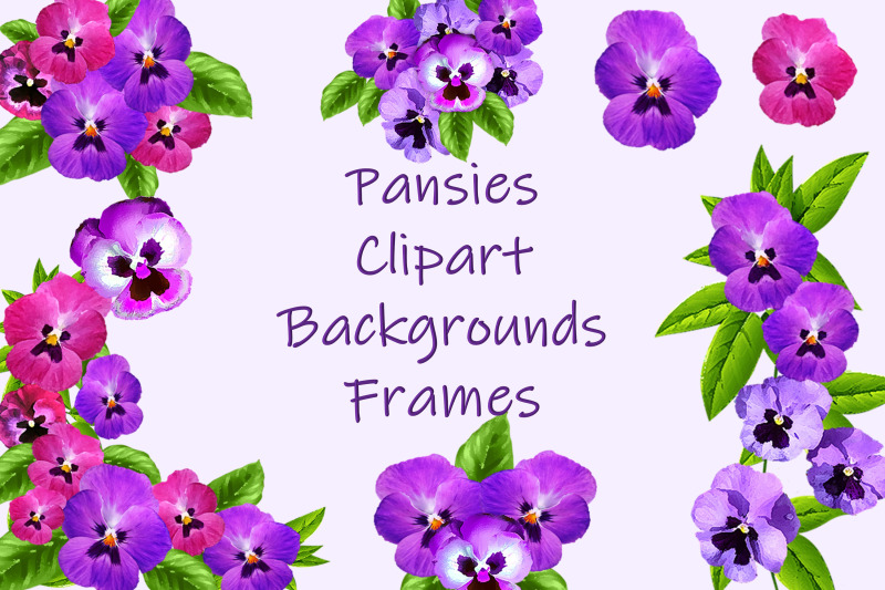pansies-clip-art-frames-and-backgrounds-kit