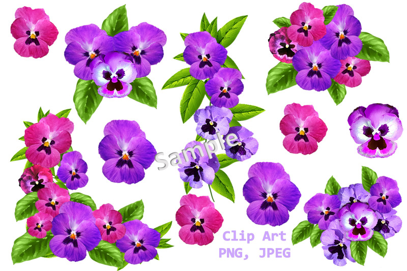 pansies-clip-art-frames-and-backgrounds-kit