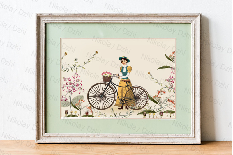 bicycles-vintage-illustration-set