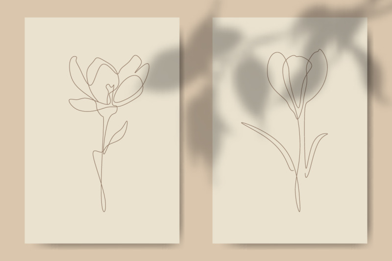 crocus-flower-line-art