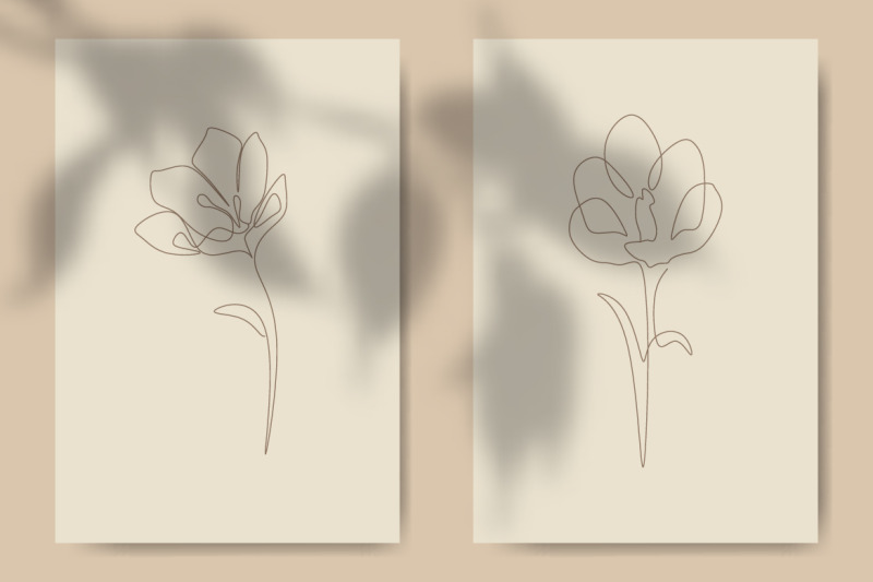 crocus-flower-line-art